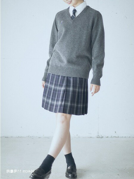 EASTBOYの【ラムウールプルオーバー】(ミルキーグレープ女神)制服 高校生 中学生 通学 スクール セーター JKを使ったコーディネート |  Rakuten Fashion(楽天ファッション／旧楽天ブランドアベニュー)1730332