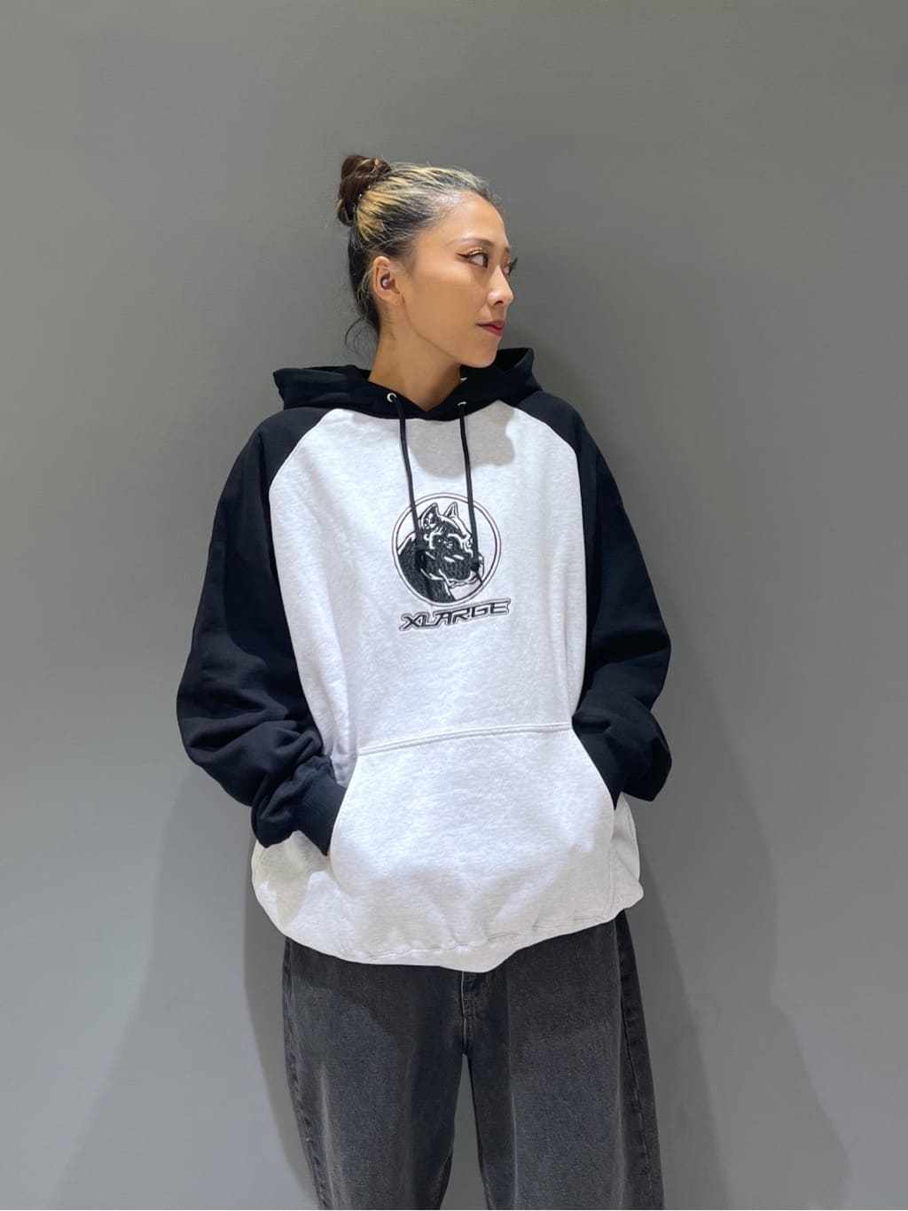 XLARGEのPITBULL RAGLAN HOODED SWEATSHIRT パーカー XLARGEを使った