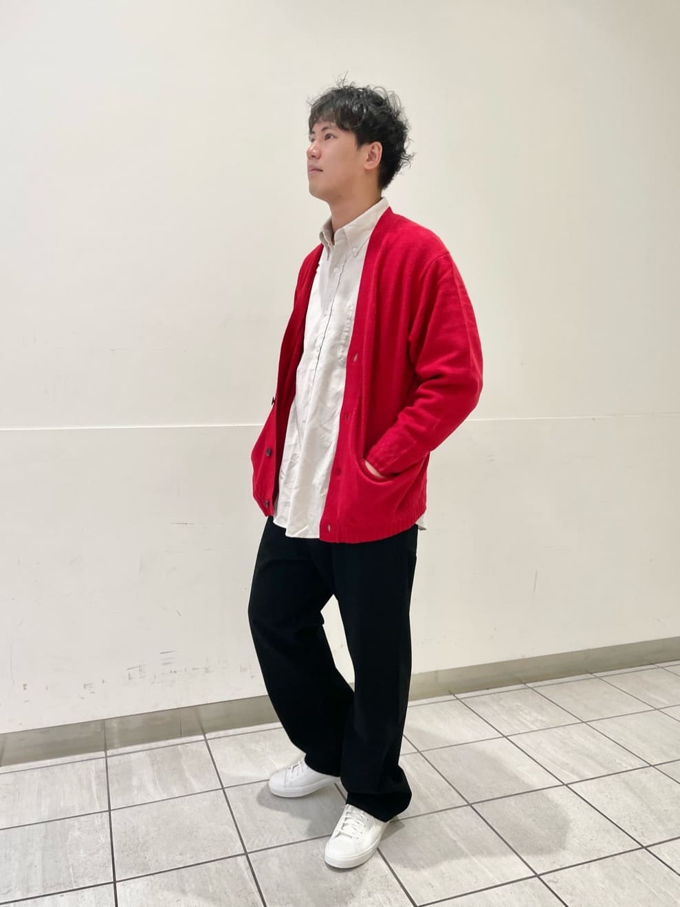 UNITED ARROWS green label relaxingのハミルトンラム Vネック