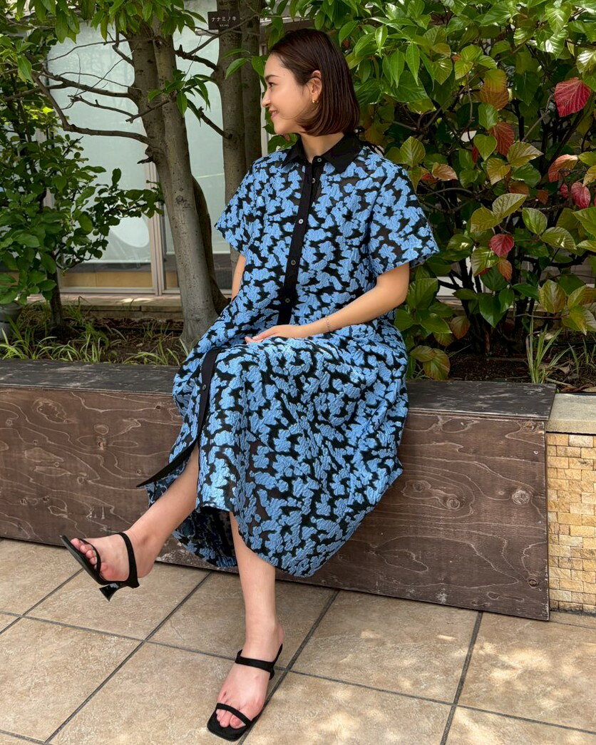 LE CIEL BLEU | シアージャカードドレス / Sheer Jacquard Dress